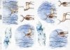 Navidad, vistas de invierno, animales*Weihnachten, Winteransichten, Tiere*Рождество, зимние виды, животные
